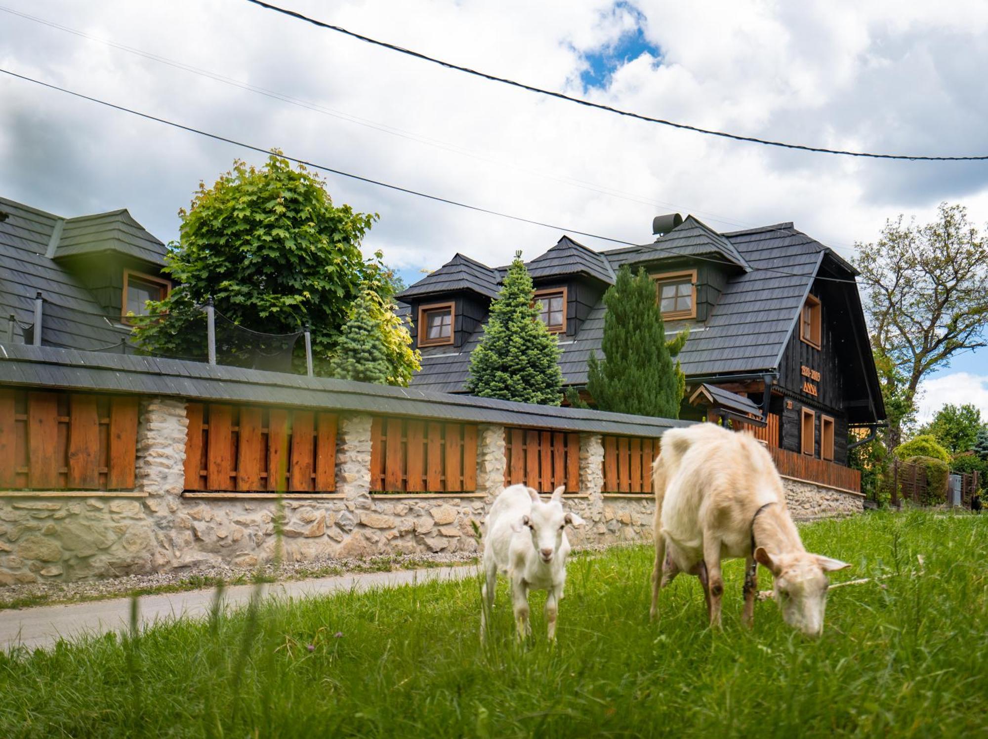 Drevenicka V Durcinej - Anna Villa Durcina Exteriör bild